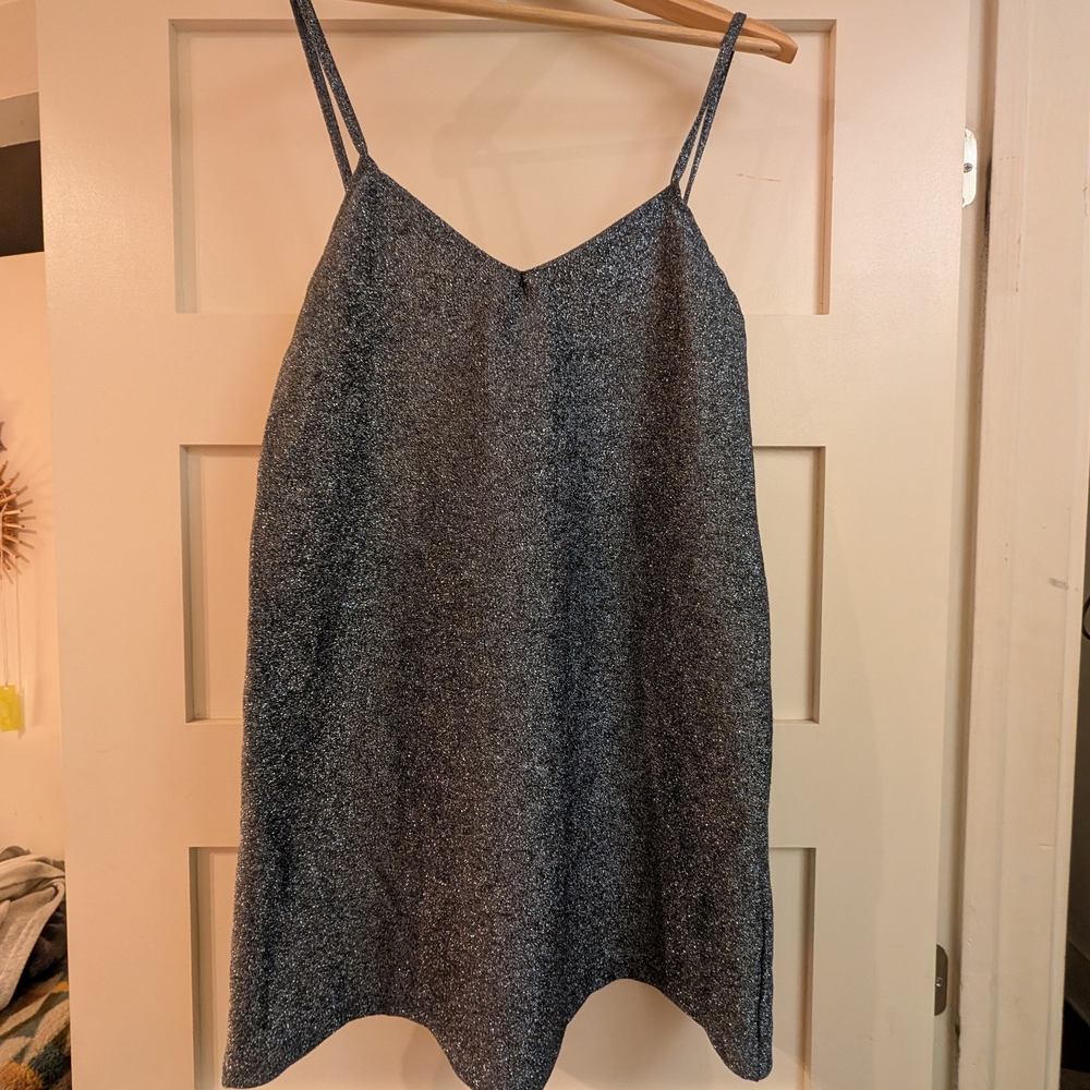 Zara Metallic Silver Dress